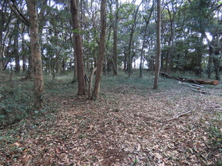 IMG_8648.JPG