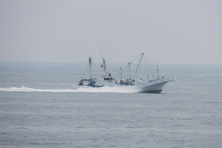 IMG_8660.JPG