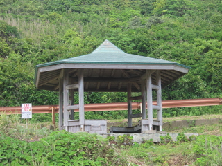 IMG_8679.JPG