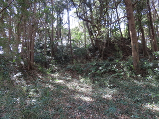 IMG_8715.JPG