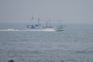 IMG_8728.JPG