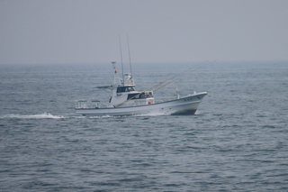 IMG_8736.JPG