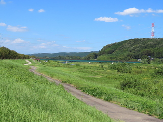 IMG_8738.JPG
