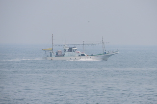 IMG_8775.JPG