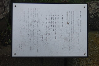 IMG_8777.JPG