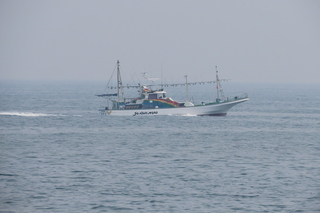 IMG_8777.JPG