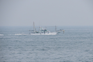IMG_8780.JPG