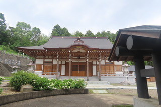 IMG_8780.JPG