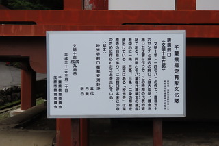 IMG_8832.JPG