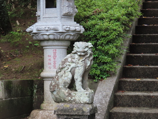 IMG_8849.JPG