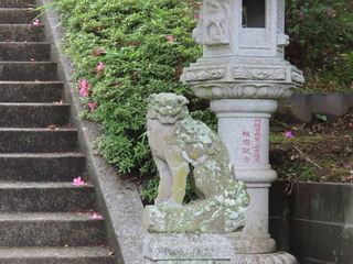IMG_8850.JPG