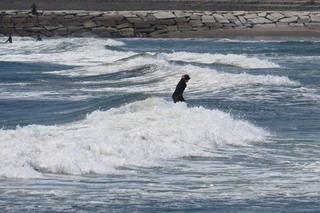IMG_8906.JPG