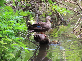 IMG_8974.JPG