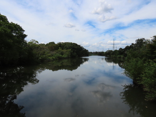 IMG_9017.JPG