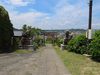 IMG_9246.JPG