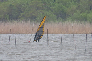 windsurfing