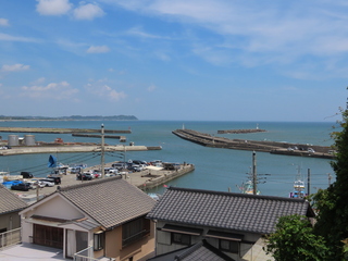IMG_9250.JPG