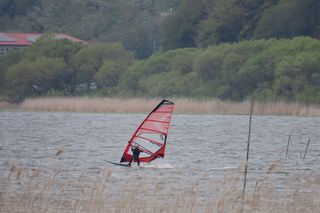 windsurfing