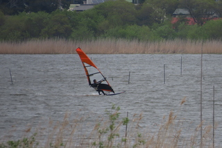 windsurfing