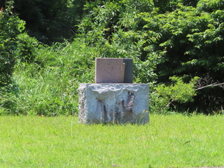IMG_9286.JPG