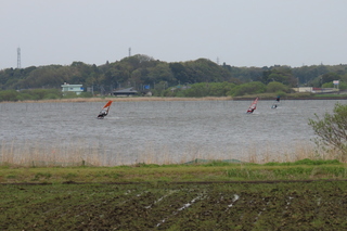 windsurfing