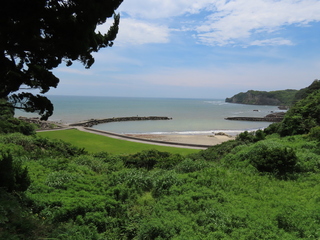 IMG_9312.JPG
