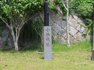 IMG_9313.JPG