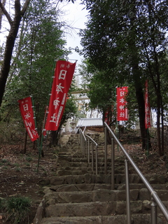 IMG_9313.JPG