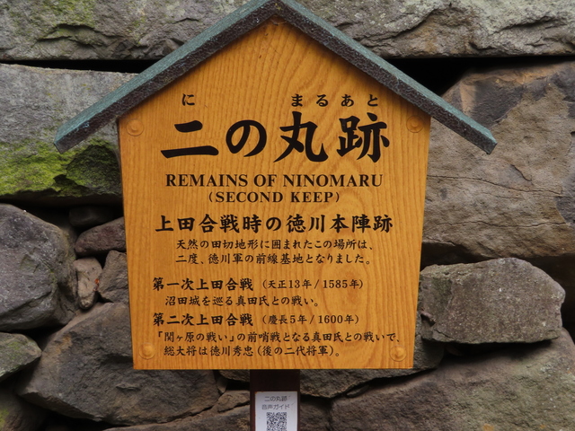 IMG_9390.JPG