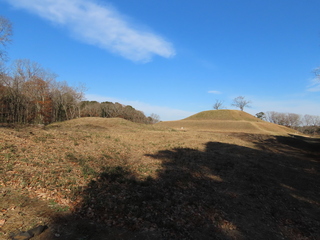IMG_9809.JPG