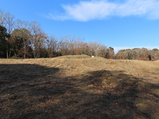 IMG_9810.JPG