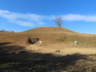 IMG_9825.JPG