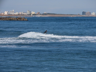 Ichinomiya Beach